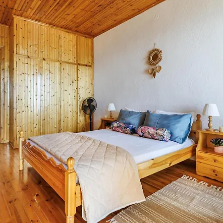 Christys House Skopelos Σπίτι διακοπών *